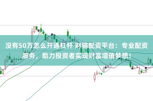 没有50万怎么开通杠杆 财猫配资平台：专业配资服务，助力投资者实现财富增值梦想！