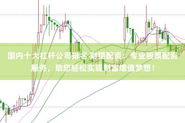 国内十大杠杆公司排名 财猫配资：专业股票配资服务，助您轻松实现财富增值梦想！