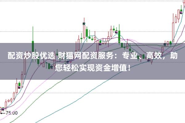 配资炒股优选 财猫网配资服务:专业、高效,助您轻松实现资金增值!