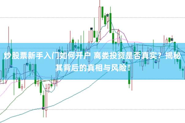 炒股票新手入门如何开户 离娄投资是否真实？揭秘其背后的真相与风险！